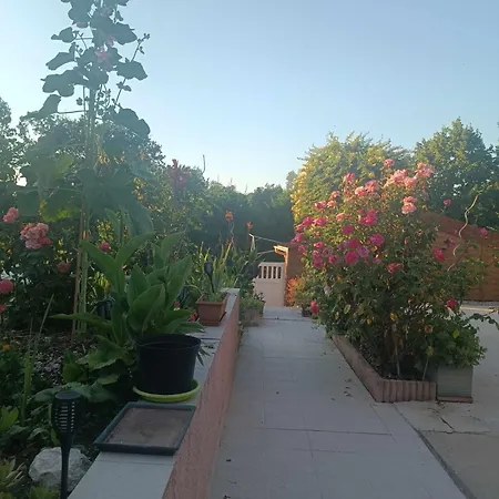 Rural Du Domaine Des Imbertaries * Puylaurens