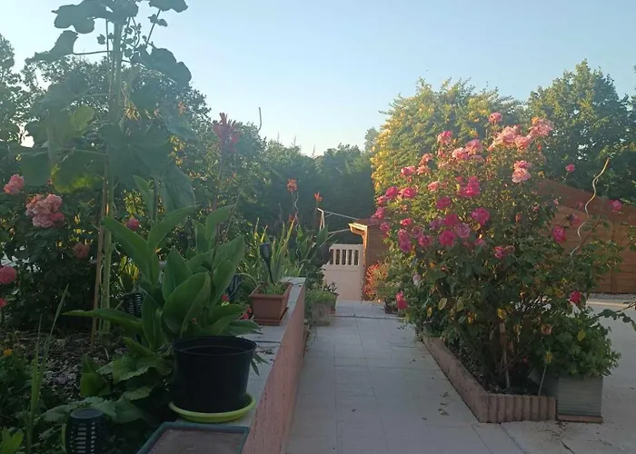 Rural Du Domaine Des Imbertaries * Puylaurens