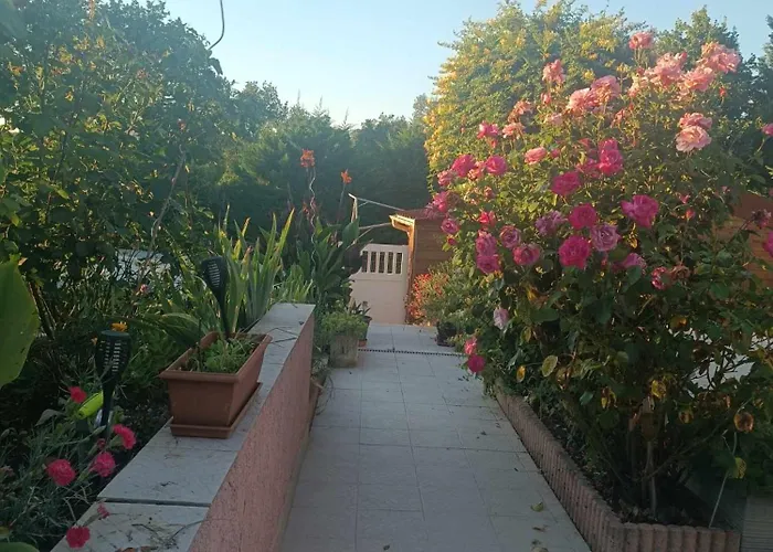 Appartement Rural Du Domaine Des Imbertaries Puylaurens